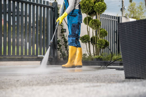Best Roof Pressure Washing  in Morgans Point Resort, TX